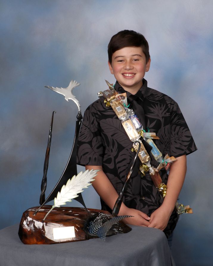 Picture of Environmental Involvement trophy